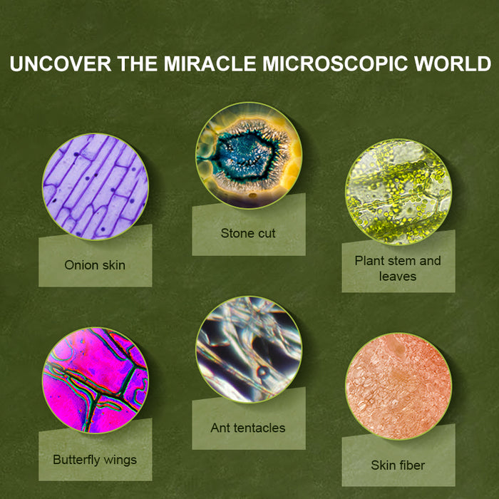 Exploring With Microscope